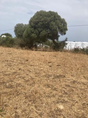 Finca/Maison de Campagne à vendre à Manzanete, Barbate - 500 000 € (Ref: 7000805)