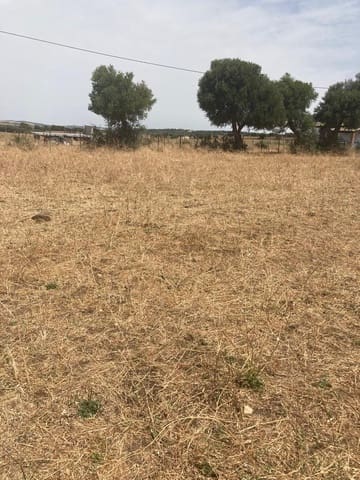 Finca/Maison de Campagne à vendre à Manzanete, Barbate - 500 000 € (Ref: 7000805)