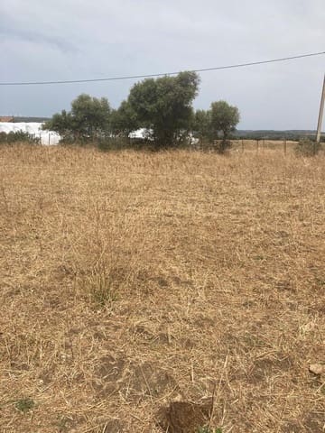 Finca/Maison de Campagne à vendre à Manzanete, Barbate - 500 000 € (Ref: 7000805)
