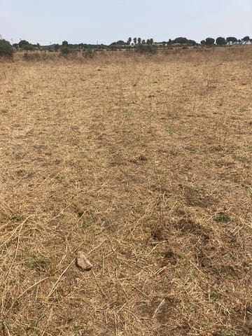 Finca/Maison de Campagne à vendre à Manzanete, Barbate - 500 000 € (Ref: 7000805)