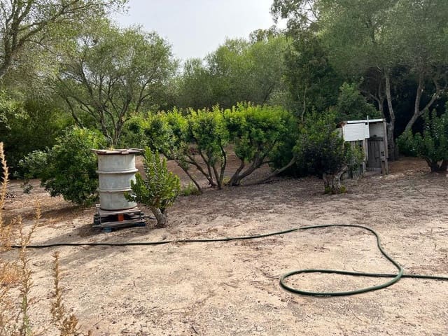 2 soverom Finca/Herregård til salgs i Vejer de la Frontera - € 250 000 (Ref: 7034090)