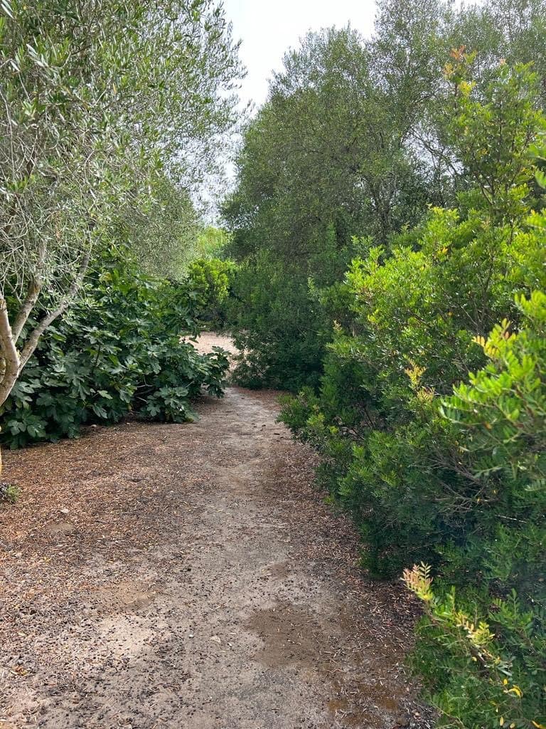 2 soveværelse Finca/Landehus til salg i Vejer de la Frontera - € 250.000 (Ref: 7034090)