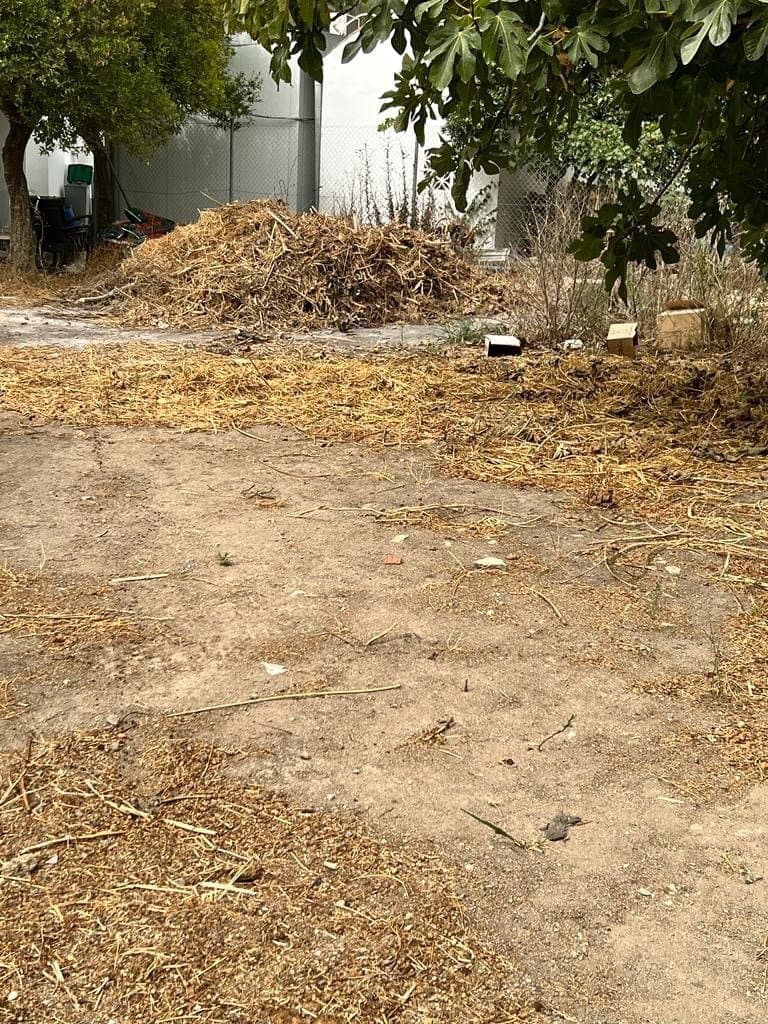 4 bedroom Finca/Country House for sale in Vejer de la Frontera - € 260,000 (Ref: 7131257)