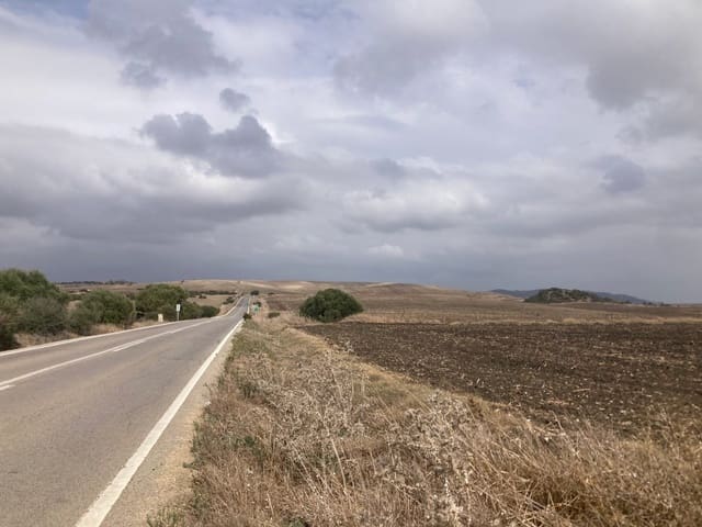 Teren niezagospodarowany na sprzedaż w El Palmar, Vejer de la Frontera - 315 000 € (Ref: 7155602)