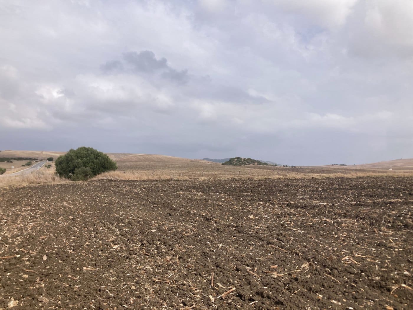 Terreno Não Urbanizado para venda em El Palmar - 315 000 € (Ref: 7155602)