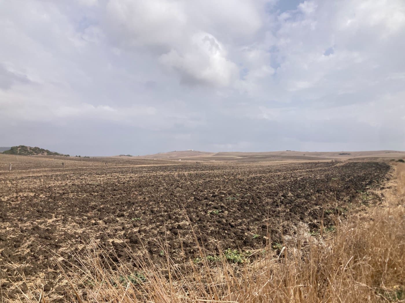 Terreno Não Urbanizado para venda em El Palmar - 315 000 € (Ref: 7155602)