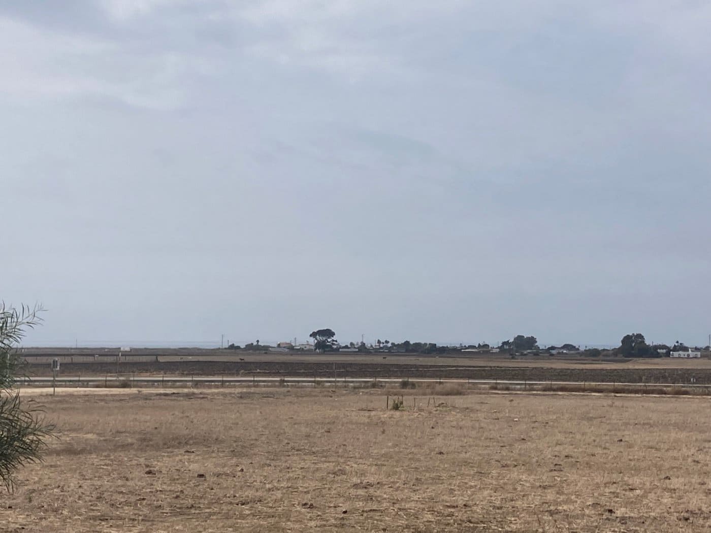 Terreno Não Urbanizado para venda em El Palmar - 315 000 € (Ref: 7155602)