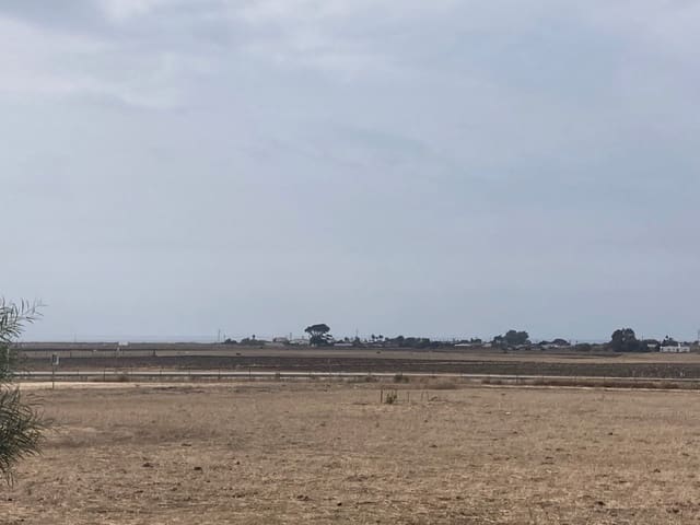 Teren niezagospodarowany na sprzedaż w El Palmar, Vejer de la Frontera - 315 000 € (Ref: 7155602)