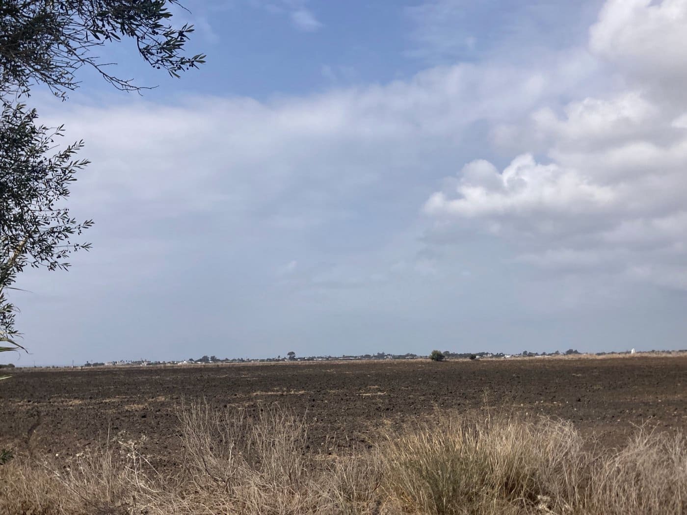 Grunde uden byggetilladelser til salg i El Palmar - € 680.000 (Ref: 7155603)