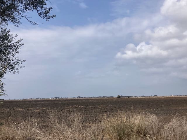 Ubebygd land til salgs i El Palmar, Vejer de la Frontera - € 680 000 (Ref: 7155603)