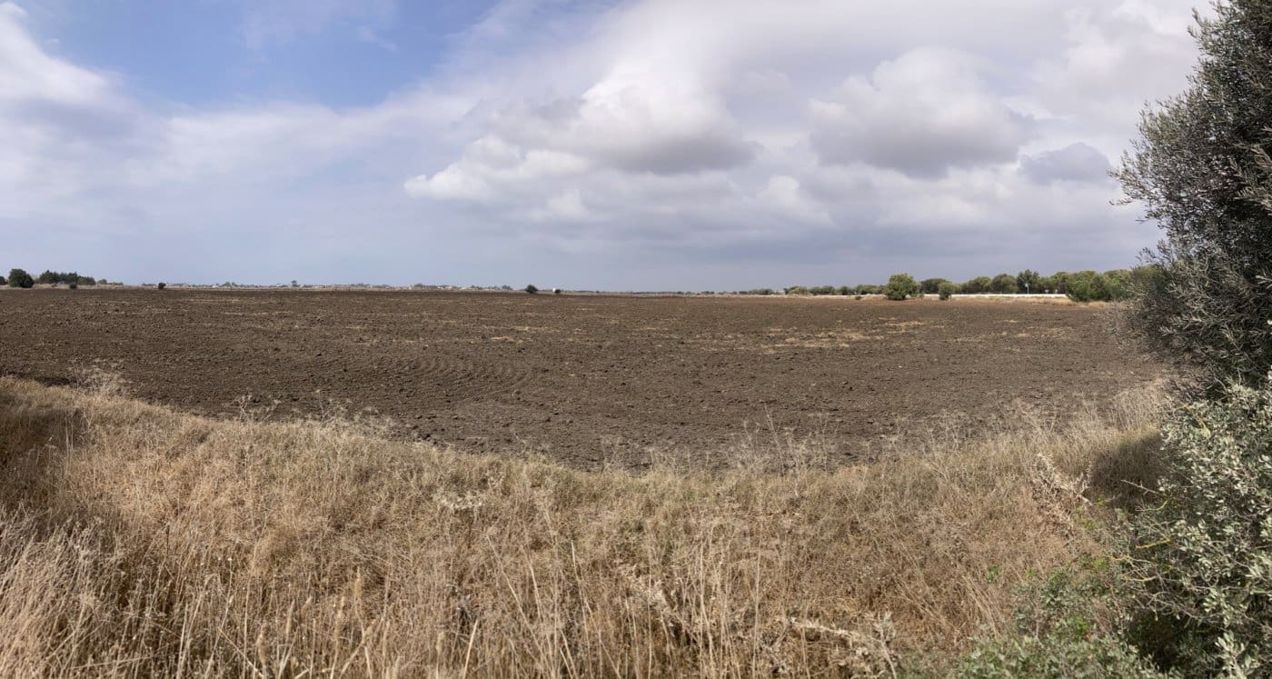 Grunde uden byggetilladelser til salg i El Palmar - € 680.000 (Ref: 7155603)