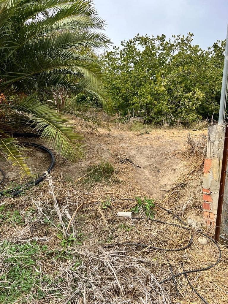 Finca/Landehus til salg i Vejer de la Frontera - € 250.000 (Ref: 7200216)