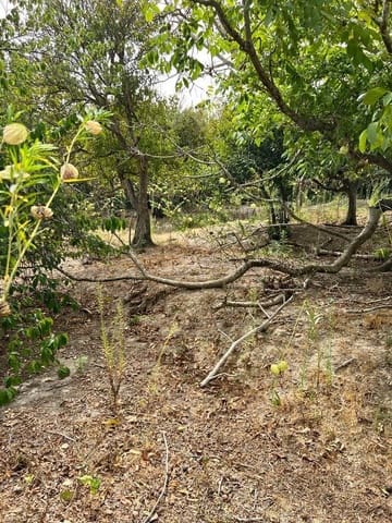 Finca/Landehus til salg i Vejer de la Frontera - € 250.000 (Ref: 7200216)