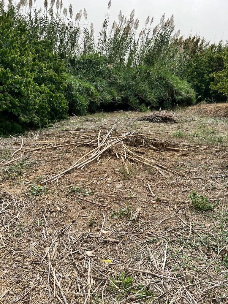 Finca/Landehus til salg i Vejer de la Frontera - € 250.000 (Ref: 7200216)