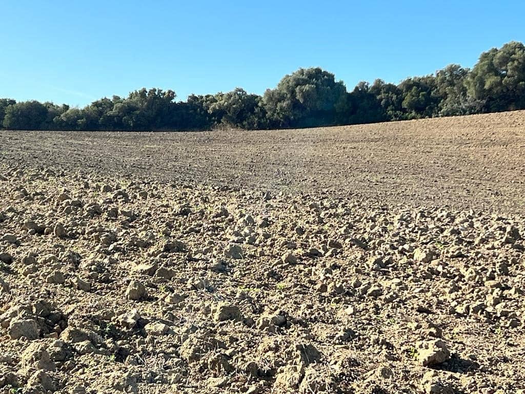 Finca/Landehus til salg i Vejer de la Frontera - € 420.000 (Ref: 7250570)