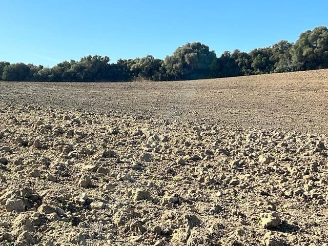 Finca/Landehus til salg i Vejer de la Frontera - € 420.000 (Ref: 7250570)