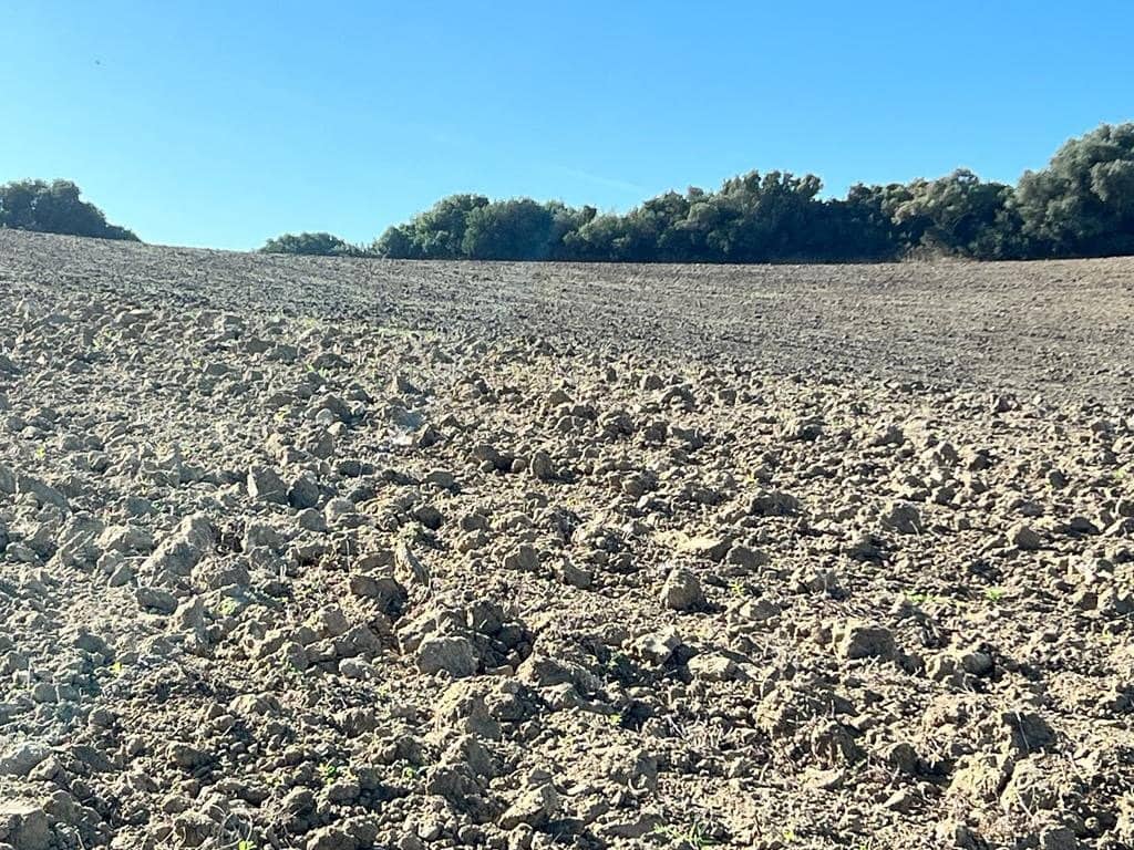 Finca/Landehus til salg i Vejer de la Frontera - € 420.000 (Ref: 7250570)