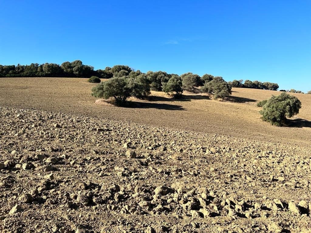 Finca/Landehus til salg i Vejer de la Frontera - € 420.000 (Ref: 7250570)