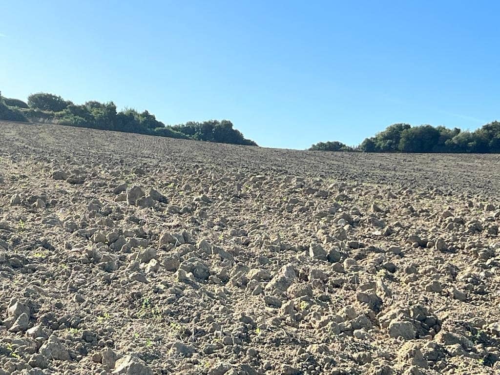 Finca/Landehus til salg i Vejer de la Frontera - € 420.000 (Ref: 7250570)