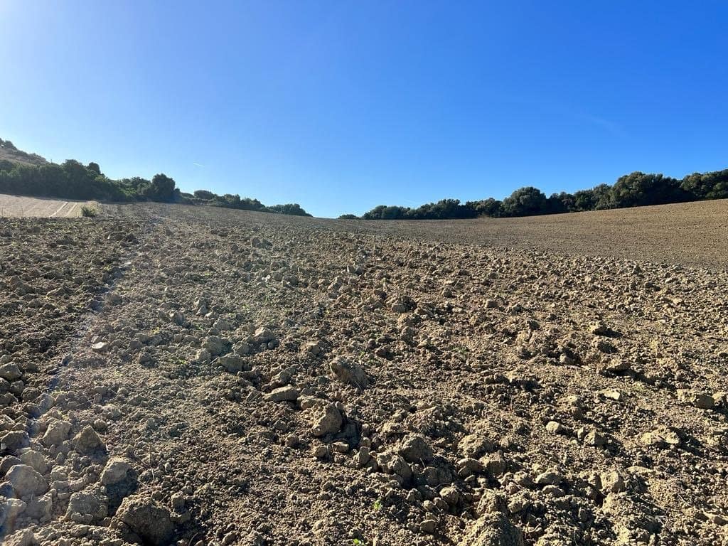 Finca/Landehus til salg i Vejer de la Frontera - € 420.000 (Ref: 7250570)