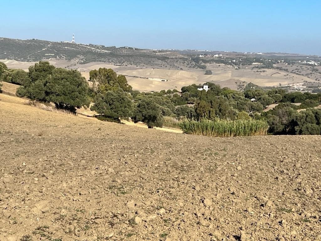 Finca/Landehus til salg i Vejer de la Frontera - € 420.000 (Ref: 7250570)