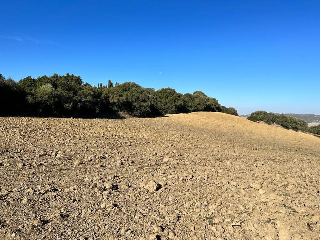 Finca/Landehus til salg i Vejer de la Frontera - € 420.000 (Ref: 7250570)