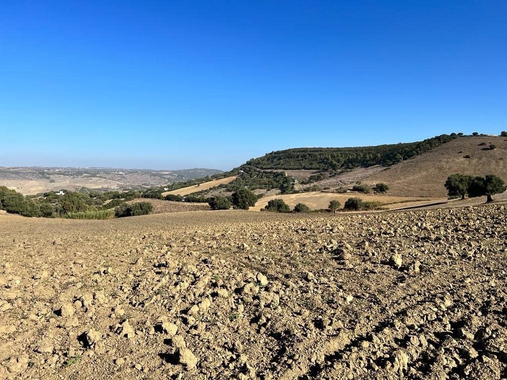 Finca/Landehus til salg i Vejer de la Frontera - € 420.000 (Ref: 7250570)