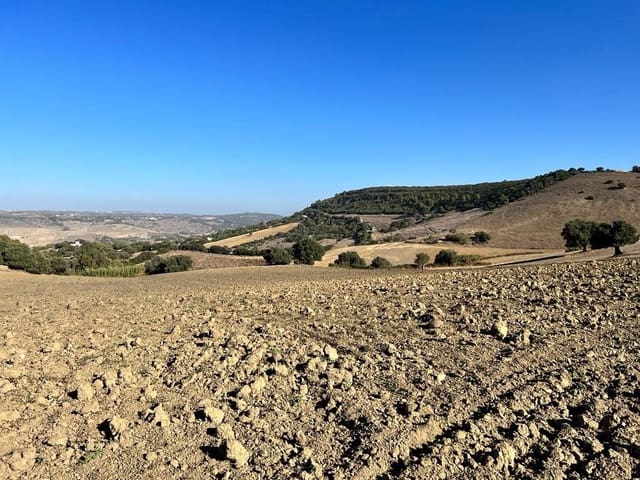 Finca/Landehus til salg i Vejer de la Frontera - € 420.000 (Ref: 7250570)