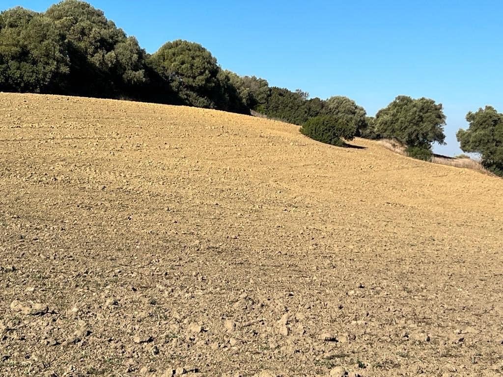 Finca/Landehus til salg i Vejer de la Frontera - € 420.000 (Ref: 7250570)