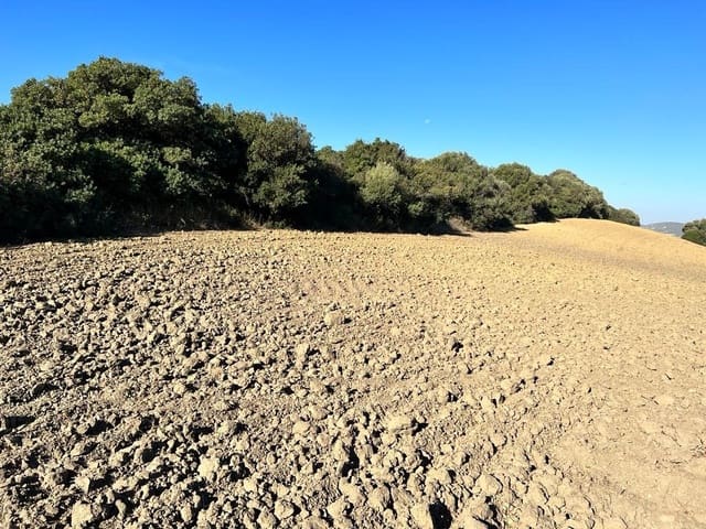 Finca/Landehus til salg i Vejer de la Frontera - € 420.000 (Ref: 7250570)