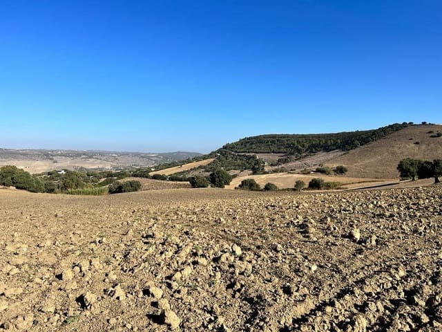 Finca/Landehus til salg i Vejer de la Frontera - € 420.000 (Ref: 7250570)