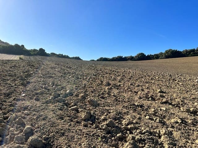 Finca/Landehus til salg i Vejer de la Frontera - € 420.000 (Ref: 7250570)