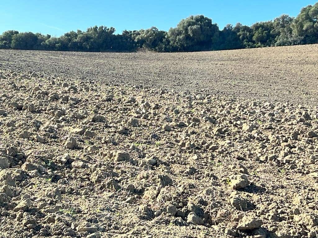 Finca/Landehus til salg i Vejer de la Frontera - € 420.000 (Ref: 7250570)