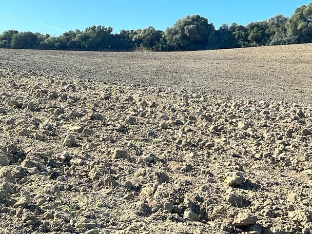 Finca/Landehus til salg i Vejer de la Frontera - € 420.000 (Ref: 7250570)