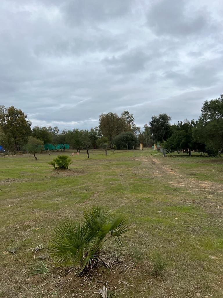 2 chambre Finca/Maison de Campagne à vendre à Benalup - 500 000 € (Ref: 7302125)