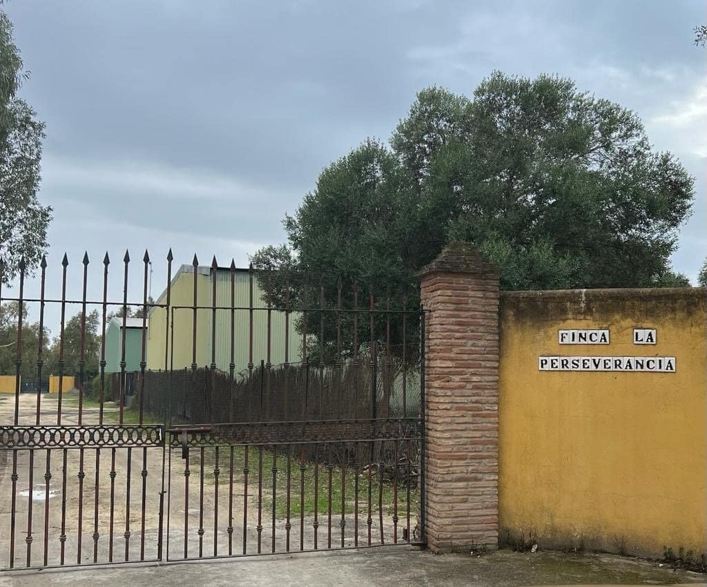 2 chambre Finca/Maison de Campagne à vendre à Benalup - 500 000 € (Ref: 7302125)