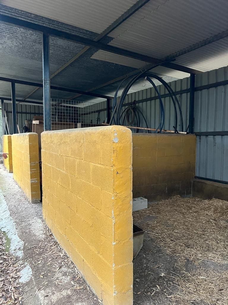 2 chambre Finca/Maison de Campagne à vendre à Benalup - 500 000 € (Ref: 7302125)