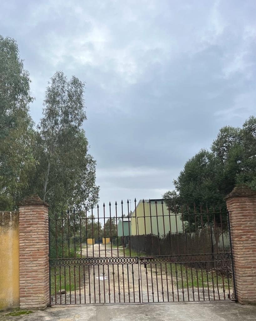 2 chambre Finca/Maison de Campagne à vendre à Benalup - 500 000 € (Ref: 7302125)