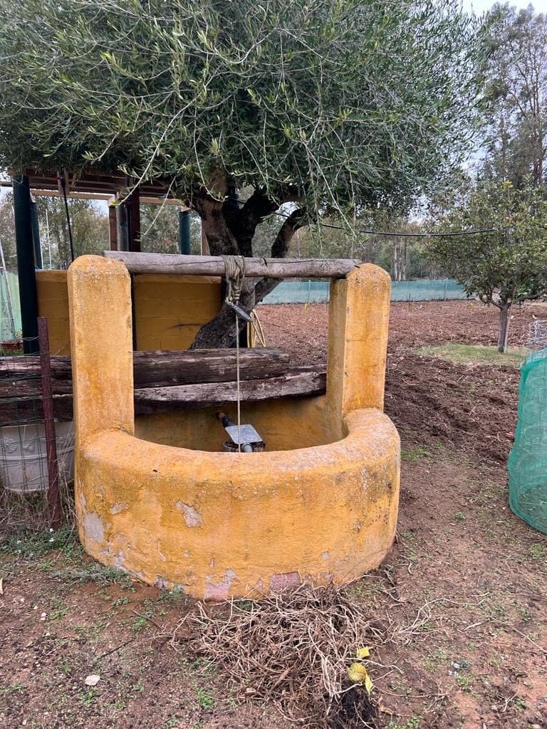 2 chambre Finca/Maison de Campagne à vendre à Benalup - 500 000 € (Ref: 7302125)