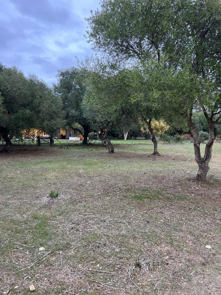 2 chambre Finca/Maison de Campagne à vendre à Benalup - 500 000 € (Ref: 7302125)