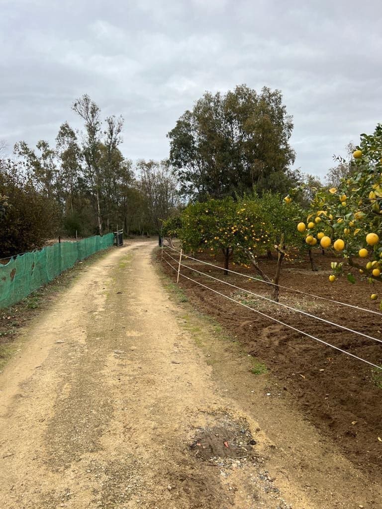 2 chambre Finca/Maison de Campagne à vendre à Benalup - 500 000 € (Ref: 7302125)