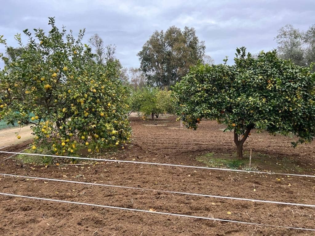 2 chambre Finca/Maison de Campagne à vendre à Benalup - 500 000 € (Ref: 7302125)