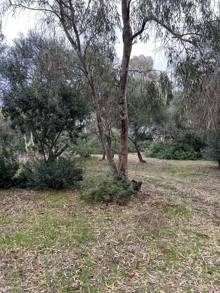 2 chambre Finca/Maison de Campagne à vendre à Benalup - 500 000 € (Ref: 7302125)