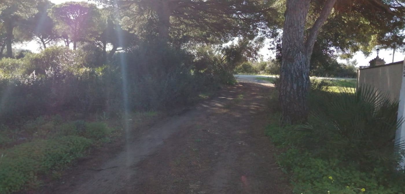 Grunde uden byggetilladelser til salg i Conil de la Frontera - € 192.000 (Ref: 7316232)