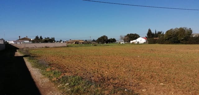 Grond te koop in Conil de la Frontera - € 192.000 (Ref: 7316232)
