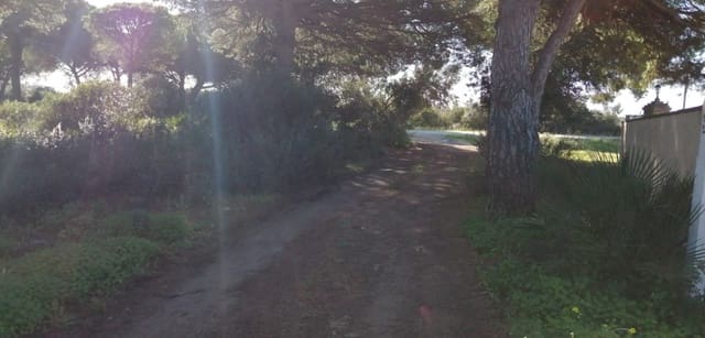 Grond te koop in Conil de la Frontera - € 192.000 (Ref: 7316232)