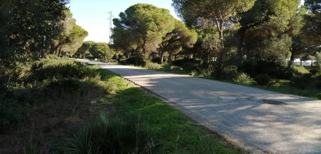 Grond te koop in Conil de la Frontera - € 192.000 (Ref: 7316232)