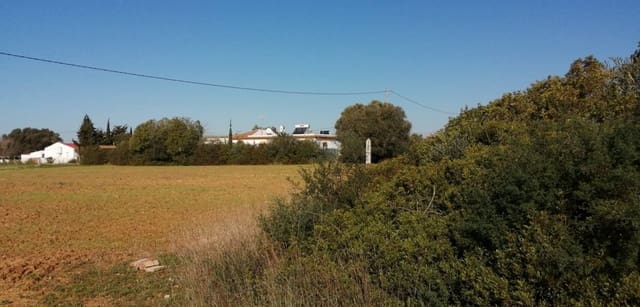 Grond te koop in Conil de la Frontera - € 192.000 (Ref: 7316232)
