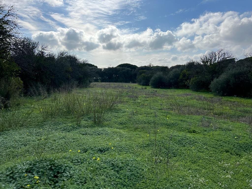 3 soveværelse Finca/Landehus til salg i Vejer de la Frontera - € 250.000 (Ref: 7344269)