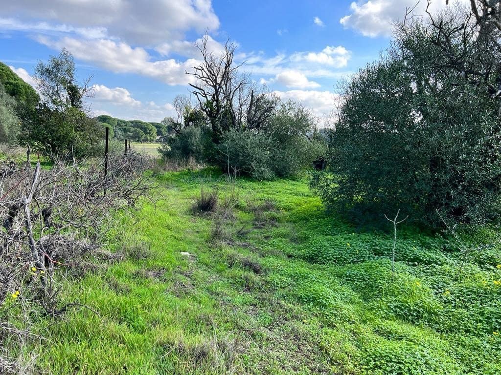 3 soveværelse Finca/Landehus til salg i Vejer de la Frontera - € 250.000 (Ref: 7344269)